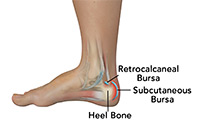 Foot & Ankle Image Foot & Ankle