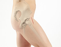 Hip Image Hip