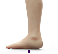 Foot & Ankle Image Foot & Ankle