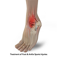 Foot & Ankle Image Foot & Ankle