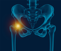 Hip Image Hip