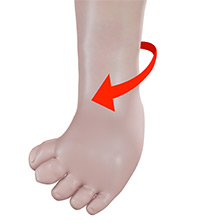 Foot & Ankle Image Foot & Ankle
