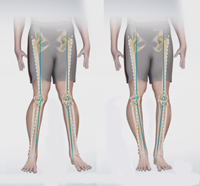 Knee Image Knee