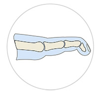 Foot & Ankle Image Foot & Ankle