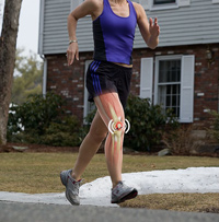 Knee Image Knee
